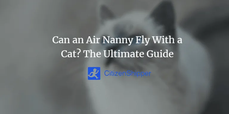 Which Airlines Allow Cats in the Cabin? A Definitive Guide to Flying with Your Feline photo 3