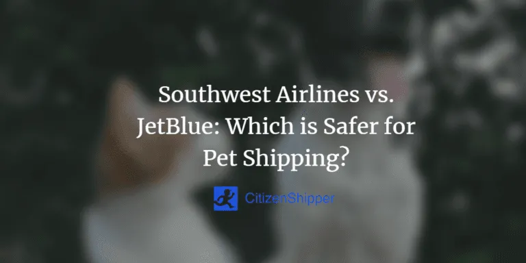Does JetBlue Allow Pets in Cargo? A Complete Guide to JetBlue Pet Travel Policies photo 2