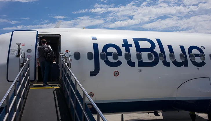 Does JetBlue Allow Pets in Cargo? A Complete Guide to JetBlue Pet Travel Policies photo 3