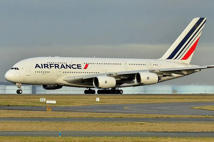 Air France Pet in Cabin Policy and Fees – Pet Travel Requirements for Flying with Your Cat or Dog on Air France image 2