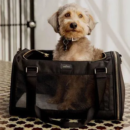 Best Pet Carrier for Your Arlo Skye Dog – Reviews of the Top Rated Arlo Skye Dog Carriers photo 3