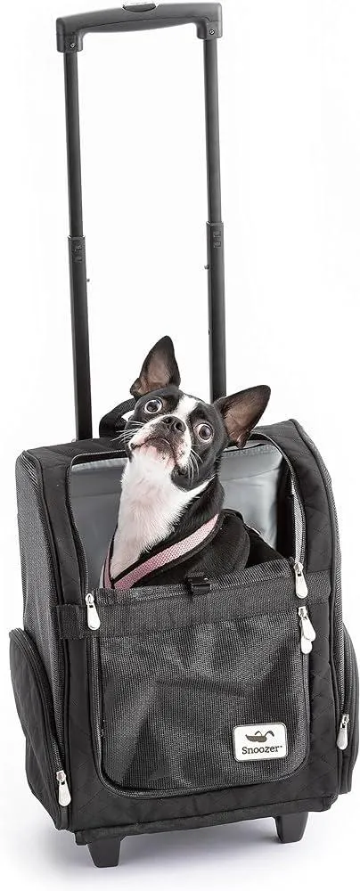 Which Airlines Allow Two Pet Carriers? A Guide to Flying with Multiple Pets image 2