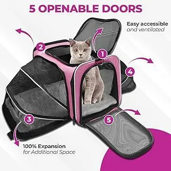 Which Airlines Allow Two Pet Carriers? A Guide to Flying with Multiple Pets image 4