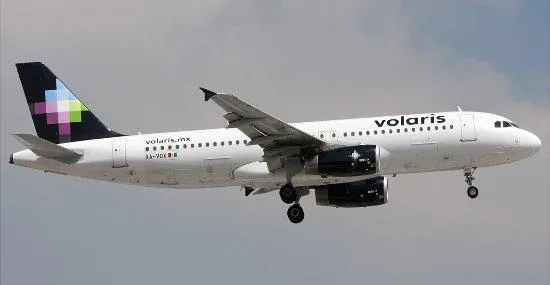 Volaris Travel with Pet: How to Fly Mexico’s Low-Cost Airline with Your Cat or Dog photo 4