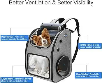 Cheapest Pet Travel: The Most Affordable Ways to Fly With Your Cat or Dog image 4