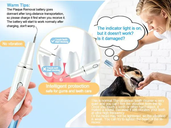 How Pet Transport Works – Learn About Transporting Your Pet Safely image 4