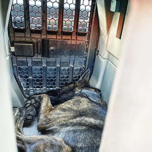Gunner Kennel Dimensions – The Perfect Size Dog Kennel for Your Dog image 3