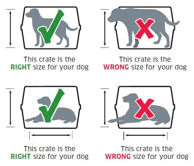 What Size Pet Carrier is Airline Approved for Your Pet to Fly Comfortably and Legally photo 3