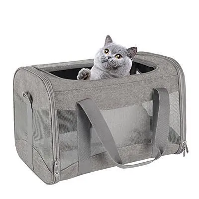 Proper TSA Approved Pet Carrier Sizes and Dimensions for Your Pet’s Travel image 4