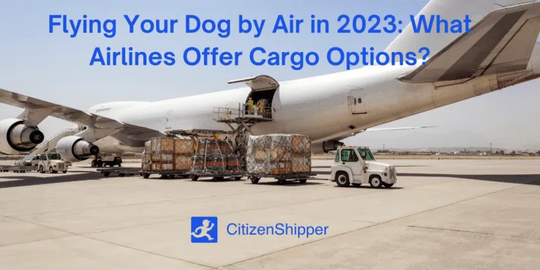 How to Ship Your Dog on Southwest Airlines: Dog Shipping Requirements, Fees & Tips image 2