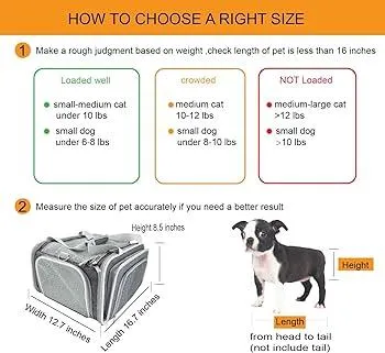 How Much Does Spirit Airlines Charge to Travel with Pets? Spirit Airlines Pet Fees and Policies image 2