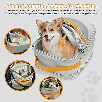 How to Fly With Your Large Dog: Tips for Taking Fido on an Airplane image 4