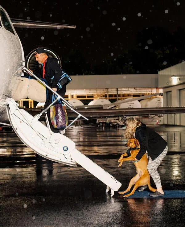 Photo How to Fly with Your Large Dog: Tips for Taking Big Dogs on Planes 5 How to Fly with Your Large Dog: Tips for Taking Big Dogs on Planes image 3