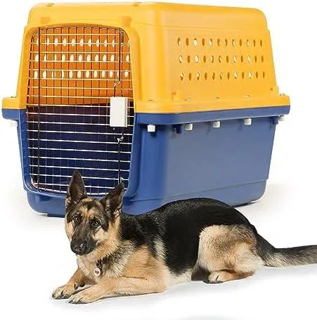 Image Alaska Airlines Dog Kennel Size Requirements - Guide to Shipping Pets on Alaska Airlines 9 Alaska Airlines Dog Kennel Size Requirements – Guide to Shipping Pets on Alaska Airlines image 2