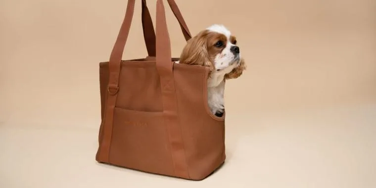 Travel in Style with The Best Pet Carriers for Flights photo 2