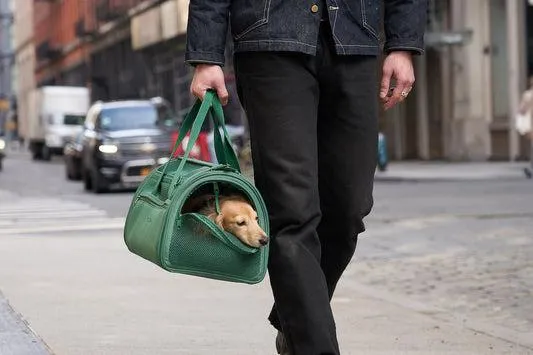 Travel in Style with The Best Pet Carriers for Flights photo 3