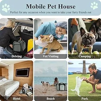 Find the Perfect In Cabin Pet Carrier For Your Furry Friend image 2
