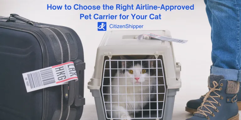 Find the Perfect In Cabin Pet Carrier For Your Furry Friend image 3