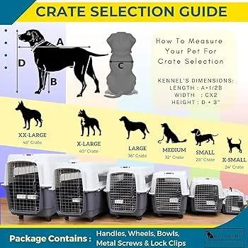 The Definitive Guide to Airline Pet Carriers: What Size You Need and How to Fly with Your Pet photo 0